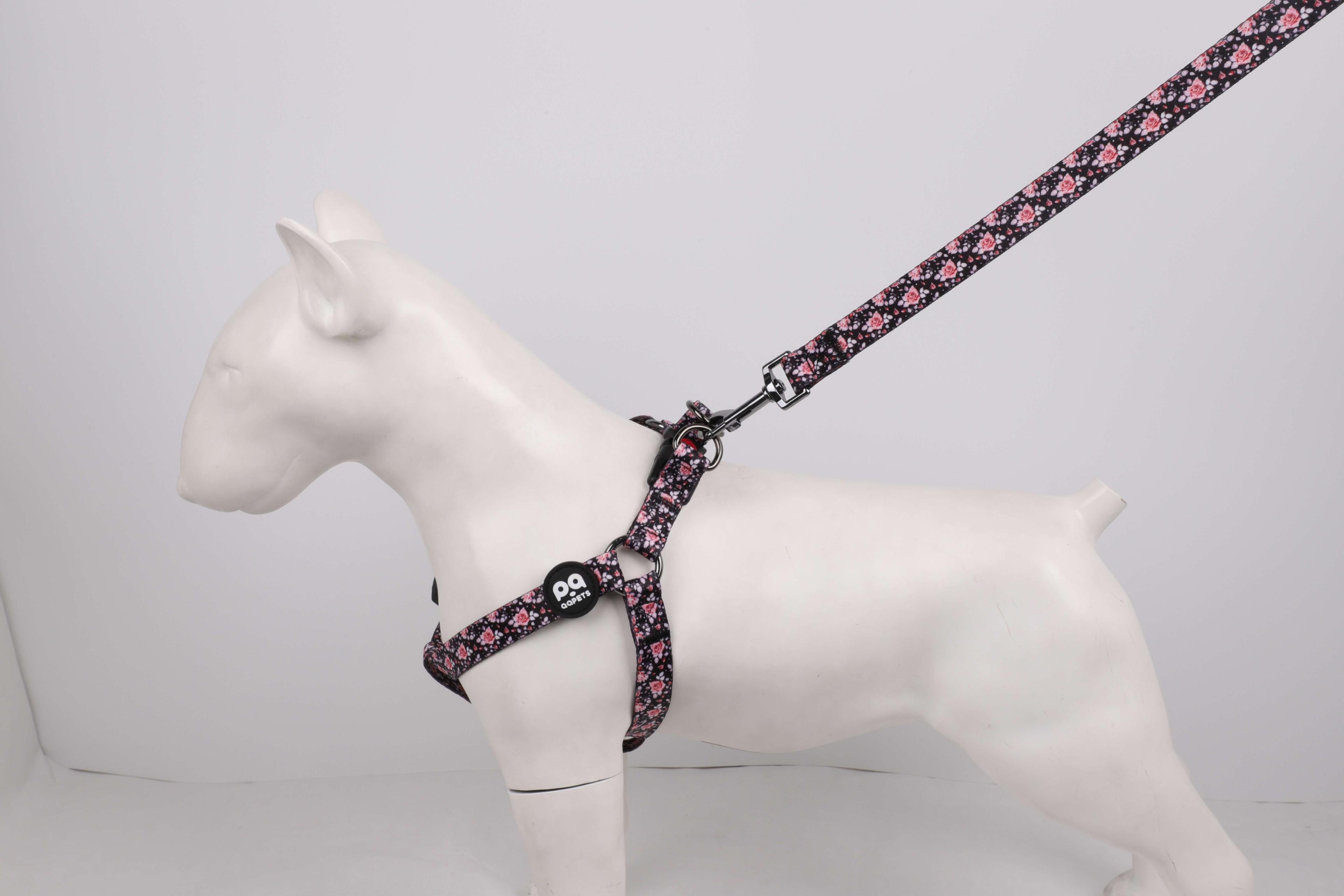 General Pet Product Suppliers vs Specialized Dog Harness Suppliers: What Changes in Real Orders?