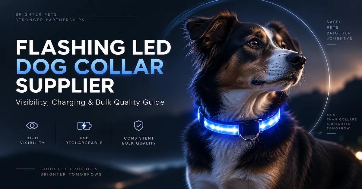 Flashing LED Dog Collar Supplier: How Brands Evaluate Visibility, Charging, and Bulk Quality